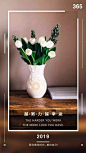正能量早安语句图片：即使现实有一点残酷，也请你不要放弃