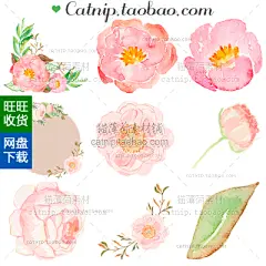 [cm137]唯美淡雅牡丹花草朵树叶婚礼请柬设计PNG水彩手绘免扣素材-淘宝网