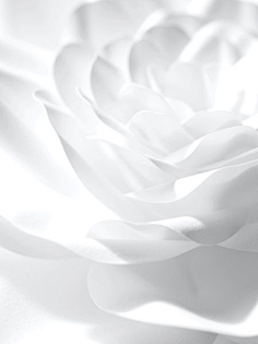 白色系 _白色系摄影素材图片_摄影,美图图片素材_花瓣网