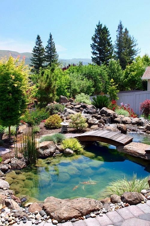 Pond