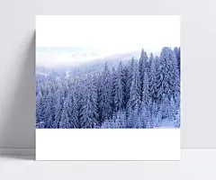 冬季雪松树|雪松树,森林,冰,山,雪,树,雪乡,雪景,冬天,白雪,冰雪,冬季,风景,东北风光,北国风光,中国雪乡,雪山森林,冬日壁纸,自然 / 风光,高清背景
