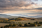 Val d'Orcia : A pittoric series of Val d'Orcia landscapes where the golden camps become the subjects of the project.