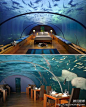 最特别的“海景房”——马尔代夫一家餐厅别出新裁地推出了水下客房，在16英尺的海底下用餐和休息，与上面的椰林树影、水清沙白相比，哪个意境更美？