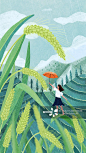 谷雨,节气,春天,雨,田地正版图片素材