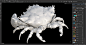 Crab