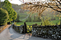 乡间小路，湖区，英国
Country Lane, Lake District, England