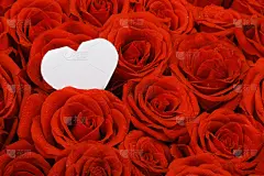 情人节卡,贺卡,空白的,留白,水平画幅,无人,玫瑰,特写,花束,红色