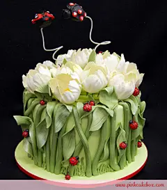 可爱瓢虫花花世界蛋糕