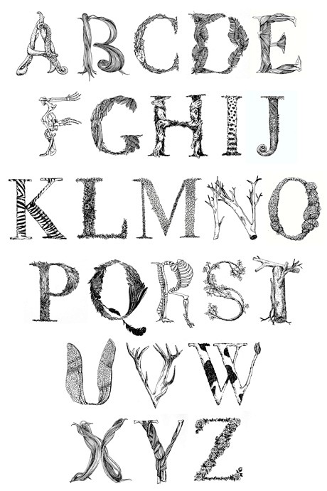 动物字母插画排版封面大图