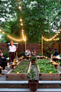 A long, raised bed is used to grow radishes. (Photo: Evan Sung for The New York Times): 