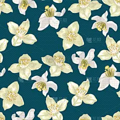 茉莉,柑橘属,华丽的,清新,壁纸,婚礼,自然美,装饰物,花,复古
