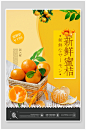 新鲜蜜桔橘子海报