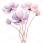 通用3D透明粉色花束花朵元素贴纸