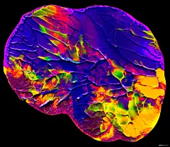 充满活力 流体 创意 抽象 油漆 绘画 抽象图片背景图片图片壁纸