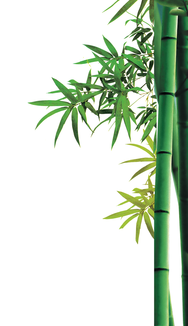 竹PNG