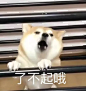 @东城区王大爷