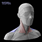 Neck - color coded block-outs