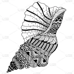 在白色背景上孤立的古董雕刻矢量图壳黑白剪贴画