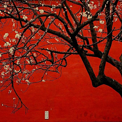 *茉莉——花采集到烈焰红