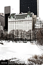 白色的冬天在曼哈顿。
White winter in Manhattan.