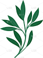 茎,叶子,光,蔬菜,暗色,清新,多样,长的,弯曲,排列
