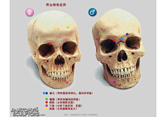 毁I灭I者采集到形体知识