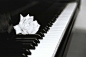大灰创建于2010-08-13 钢琴