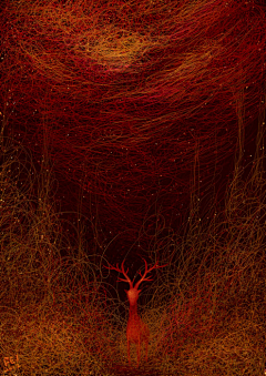 阿莱福的夜采集到插画