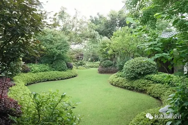 高Bigger的植物配置实景图-花瓣网