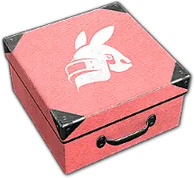 NewJeans × 绝地求生 PUBG 合作联名