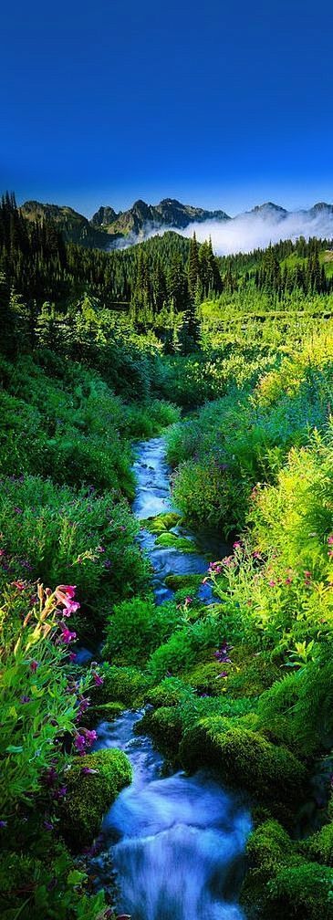 Mount Rainier Nation...