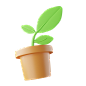 Plant-2