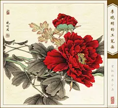 李晓明工笔牡丹画欣赏 - 冷月无声 - 冷月无声
