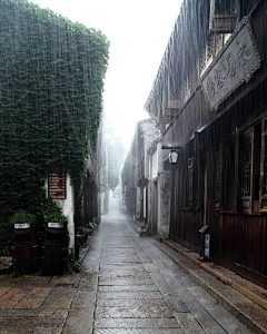 惊蛰的酒采集到【风雨】天外西来