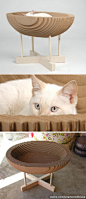 这件家具是Elizabeth Paige Smith(Epsdesign)特别为猫咪设计的小窝，名叫Kittypod。下部是木制支架，上部波纹纸板制作的碗状空间是猫咪睡觉的地方，那里不仅柔软透气，而且可以让猫咪任意抓挠，特别有爱的猫舍。