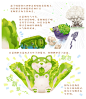 【蔬菜动物精灵】
                          
                          作者：朋吉