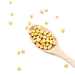 黄豆