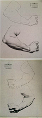 #SAI资源库# 石膏像人体器官：手、手臂、头像。脸部。8