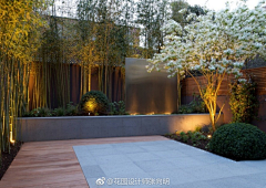 写诗的蜗牛采集到庭院