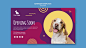 Plantilla de banner de comida para perros PSD gratuito