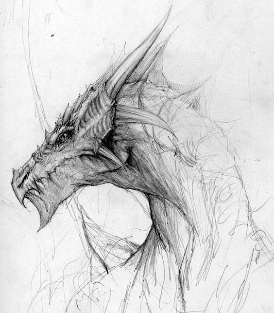 龙，dragon，龙头，龙翅膀，教程，龙绘画教程，西方龙，帅气，霸气，酷