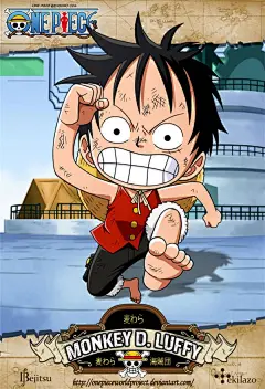 ONE PIECE人物图鉴