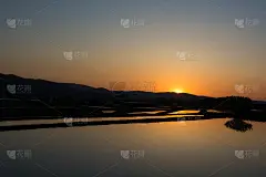 春日的稻田映着夕阳