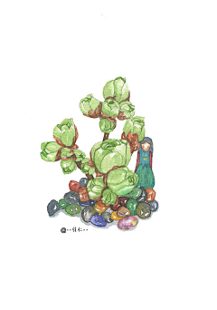 amykim采集到手绘多肉