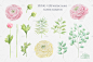 Watercolor ranunculus. : I'm glad to present you a set of "Watercolor ranunculus" This set includes: floral elements, ranunculus, leaves, palm leaf. And also various projects: flower patterns, bouquets, wedding invitations.