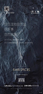 @自由意志Free′will，黑金地产/开盘/地产刷屏/主画面/黑金系列/价值点/黑白灰高端微信稿/高级灰/黑金主画面