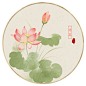 荷花