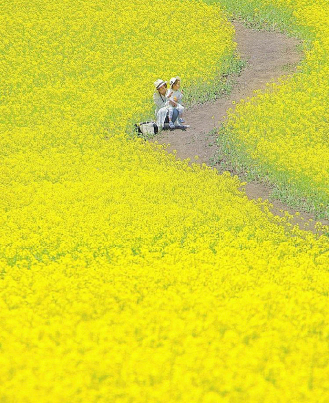 开往春天的列车

油菜花里的浪漫

#春...