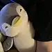 -岚先生