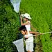 Japanese kids in the countryside